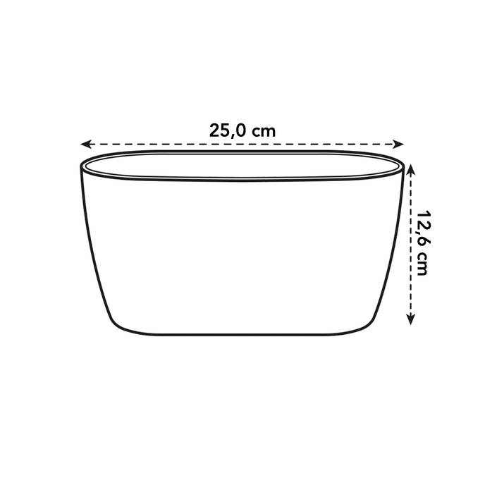 brussels orchid duo 25cm transparent